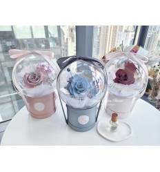 泡泡玫瑰花盒