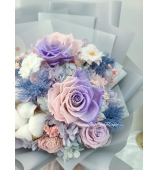 WONDERLAND - PURPLE&PINK