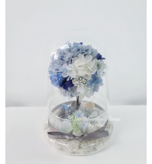 BABY BLUE 許願樹