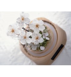 櫻花系列